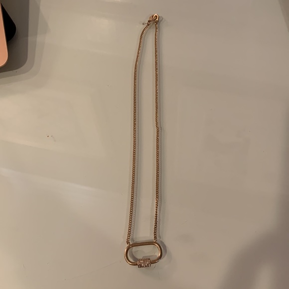 NWT All Saints Bave Carabiner Pendant Necklace - Picture 5 of 5